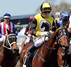 Not happy Jan ... Brad Stewart (left background) contemplates his options before firing in a whip rule protest at Doomben on Saturday