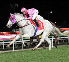 Siliqua winning the 'late night last' at the Sunshine Coast on Friday night

Photos: Graham Potter