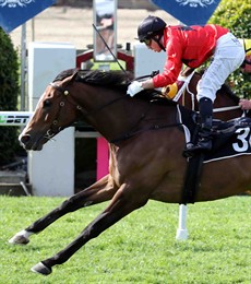  am tipping Outraged (2), with Ric McMahon continuing his unique association with this gelding, to win. He has ridden him nine times for four wins and a second. He has won here at Ipswich on three occasions whereas the other runners have not won here – that will do me! (see race 4)