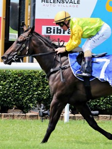 Miss Exfactor (5) does have an “X” factor. She was solid last preparation and has had a solid barrier trial at Deagon on 5 September where she looked wonderful winning the trial with Jim Byrne in the saddle (see race 2)