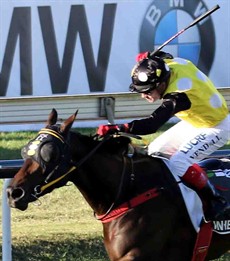 I thought In Her Time should have won the 2017 Stradbroke at Doomben. I think a few others felt the same way after the race was well. I just hope from barrier 1 this weekend Corey Brown sits the mare off the speed and launches her into the race around the 175 metre mark and she steals a break big enough to hold off the flashing grey Chautauqua (pictured below) who will be belting home in the final 50 metres. (see race 6)