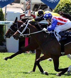 I am going with the Chris Waller trained My Giuliano (blue cap above) who was narrowly defeated last start by the in-form Ingeegoodbe at Doomben. There was a controversial protest lodged over whip use on the winner, but the stewards chose not to overturn the race result. My Giuliano is one of my Best Bets (see race 2)