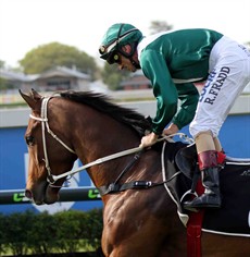 Madame Lily won second up at Doomben three weeks ago and she looked as if she had plenty of improvement left in here. The stable didn’t miss her on that occasion as well – she was heavily backed late and that confidence turned into an impressive win! Robbie Fradd retains the ride this weekend.(see race 6)