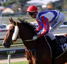 There is one here that has exceptional form second up – the Ben Currie trained With a Promise (pictured here with Jimmy Orman up at a previous start). She has won three from three second up and did return to racing at Doomben two weeks ago with a solid run. This could mean a race to race double for the Ben Currie and Brad Stewart team if they can win the previous race with Girl in A Million (see race 4)