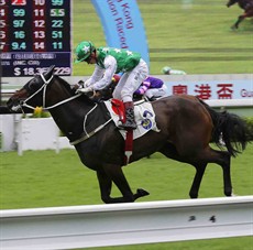 Pakistan Star in happier times ... winning with Matthew Chadwick aboard

Photo: Courtesy Hong Kong Jockey Club