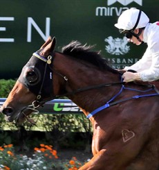 My tip is for The Everest is ... (drum roll) – Deploy (pictured above). Let me on at $12!

I think that Josh Parr will let them go in front and then make a dash at them around the 150 metre mark. He will be hoping that he gets enough distance on the grey war horse, Chautauqua and just have enough to hold him out.