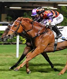 Ricky Yiu’s first-starter Speedy King races to the lead in the shadows of the post to win the Class 4 Our Pegasus Handicap under Neil Callan.