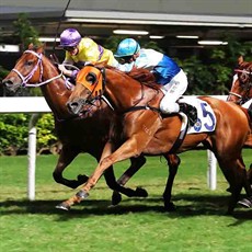 Look Eras (No. 5), trained by Me Tsui and ridden by Nash Rawiller, wins the LONGINES Cup.

Photos: Courtesy Hong Kong Jockey Club