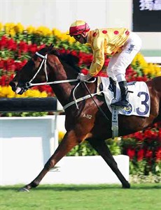 Gold Mount coasts past the post under Zac Purton.

Photos: Courtesy Hong Kong Jockey Club