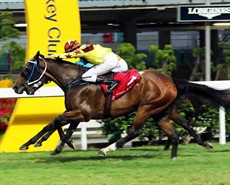 Southern Legend (near side) storms home to take the Class 2 Yip Fat Handicap (1200m) under Nash Rawiller.