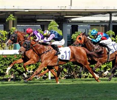 Italian jockey Umberto Rispoli partners Sharpmind (No.11), the first of his two wins at Happy Valley today, in the Class 4 Island Handicap (1200m).

Photos: Courtesy Hong Kong Jockey Club