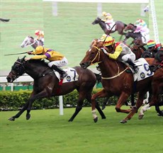 Citron Spirit lands the Hakka Cup for Chad Schofield and Ricky Yiu.

Photos: Courtesy Hong Kong Jockey Club