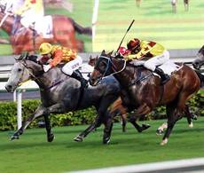 Derek Leung drives the grey Pingwu Spark home to defeat Southern Legend in the Class 2 Beijing Handicap.