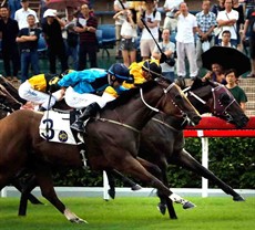 Dashing Fellow (far side) takes the National Day Cup (G3-1000m) under jockey Vincent Ho.

Photos: Courtesy Hong Kong Jockey Club