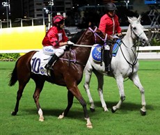 Neil Callan returns after scoring his first win this season aboard Junzi in the Class 4 Osmanthus Handicap (1000m).