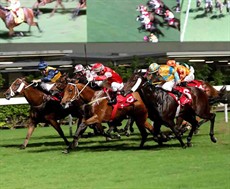 Wah May Friend and Matthew Chadwick (red silks) deny Mr Genuine and Zac Purton (no. 6) in the finale.

Photos: Courtesy Hong Kong Jockey Club</b.