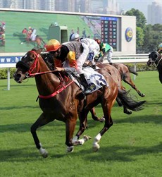 Last season’s Champion Griffin Premiere wins the Class 2 Chinese Recreation Challenge Cup Handicap (1000m) for Joao Moreira and John Size.