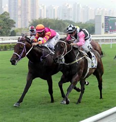 Top Beautiful (inside) remains unbeaten after winning the Class 3 Tailorbird Handicap (1000m) for Joao Moreira and Chris So.