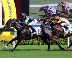 Jolly Banner (No.6) gets the better of Winner’s Way (No.3) to take the Class 1 Kwangtung Handicap Cup at Sha Tin Racecourse