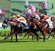 Amazing Agility (No.6) storms home to win the Class 3 Guangzhou Handicap.

Photos: Courtesy Hong Kong Jocey Club