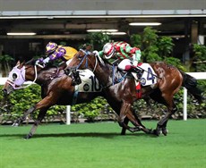 Matthew Poon drives Catchmeifyoucan (10) to success for trainer Chris So in Happy Valley’s first race of 2017/18.
Matthew Poon drives Catchmeifyoucan (10) to success for trainer Chris So in Happy Valley’s first race of 2017/18.

Photos: Courtesy Hong Kong Jockey Club