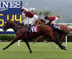 Nassa takes the Ladies’ Purse under Chad Schofield.

Photos: Courtesy Hong Kong Jockey Club