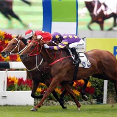 Western Express (purple) just gets up to defeat Wah May Friend to win the Panasonic Cup under Joao Moreira.