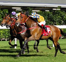 Lucky Girl stretches out to win the Class 2 Tokyo Handicap (1650m), giving Alexis Badel his second win of the night.

Photos: Courtesy Hong Kong Jockey Club