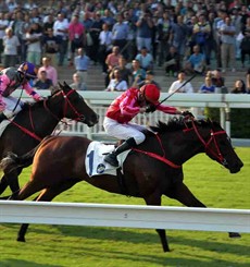 Mr Stunning gets the better of Lucky Bubbles to win the G2 Premier Bowl last start.

Photo: Courtesy Hong Kong Jockey Club