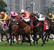 The Danny Shum-trained Seasons Bloom (No. 6), ridden by Joao Moreira, wins the G2 BOCHK Wealth Management Jockey Club Mile at Sha Tin Racecourse today.