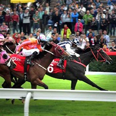 Photos: Courtesy Hong Kong Jockey Club