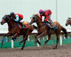 Eagle Way (outside) passed the post sixth in batch two.