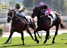 Sparkling Dragon (in green/yellow), ridden by Sam Clipperton, holds off Win Beauty Win (in pink) to take the Class 4 Granville Handicap