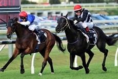  Emphasis and Rudy fight it out last start at Doomben. They meet again on Saturday. (see race 5)
