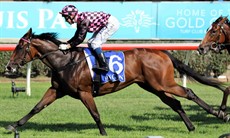 Femme Fireball will handle all track conditions and last weekend did something at the Gold Coast that I have not seen for a longwhen she settled back in the field, was steadied by Ronnie Stewart and then just peeled around them wide and smashed them – going away at the end to win untouched. (see race 7)