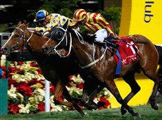 E-Super (far-side) battles hard for Nash Rawiller to edge out Circuit King.

Photos: Courtesy Hong Kong Jockey Club