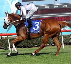 Don’t Tell Mama, from the Tony Sears stables at Toowoomba, ran home powerfully late so maybe that will be enough to see him improve again this weekend. (see race 7)