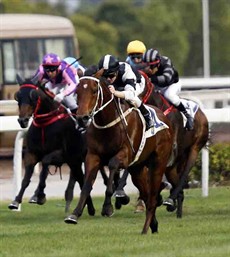 Exultant stakes his claims for the Four-Year-Old Classic Series with his impressive victory in the Class 2 Long Ke Handicap (2000m) under Zac Purton.

Photos: 
Courtesy Hong Kong Jockey Club