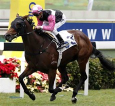 Win Beauty Win takes the Griffin Trophy under Zac Purton

Photos:
Courtesy Hong Kong Jockey Club.