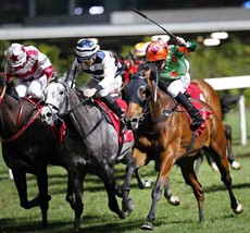 Rule Thee wins the night’s stamina test under Chad Schofield.

Photos:
Courtesy Hong Kong Jockey Club