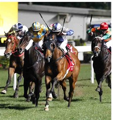 Zac Purton drives Archippus to victory in the last at Happy Valley.