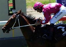 The winners were queuing up for the Matthew Dunn stable at Murwillumbah. His winners were Princess Elle (above) ...