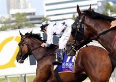 Fullazaboot's rousing finish got him close enough to get a good look at the winner Sunlight without ever threatening the result ... but, hey, coming second was a big win too!

Photos: Graham Potter