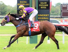 Stratalena has a victory here at the Kilcoy track and distance back on 2 December 2017. I think you can safely forget the last start run at Gatton where she raced wide and really didn’t get a crack at them. This week given a nice run in behind the leaders she may just be the one to beat (see race 5)