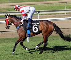 I am punting on Bold Gypsy (9) returning from a 21-week spell and racing well here with a couple of trials under her belt. She has won twice for three starts first up and does like this track. Track specialist rider Luke Tarrant is aboard, and I think this one represents great each way value at $26.(see race 8)