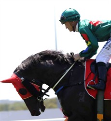Rancho Montoya (1) resumes from a 18 week spell here. This Stuart Kendrick colt has always shown some solid form and I think that if he fronts up here this weekend he could be difficult to beat.(see race 4)