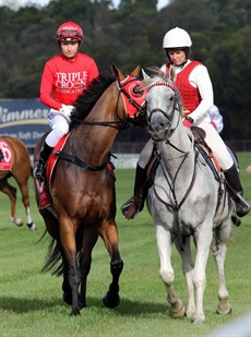 I am finding it difficult to split the Tony Gollan trained Brazen Moss (4) and the Chris Waller trained Torgersen (2). I think that Brazen Moss is the best performed over a mile, so I will put him on top here this weekend. (see race 8)