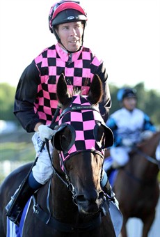 Ronnie Stewart ... could have a massive day in combination with the Robert Heathcote stable (see races 5, 6 and 8)

Photos: Darren Winningham and Graham Potter