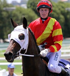 Kevin Kemp's Spirit of Boom filly Plumaro (4) debuted at her home track at Toowoomba with Kempy’s apprentice Nick Keal in the saddle. She smashed them – well destroyed them all winning by 9.25 lengths on debut. She ran some nice time as well! (see race 3)