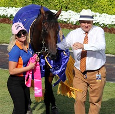 Make no mistake that Silver Slipper formline from the weekend is gold. Sunlight (pictured above) and Estijaab deserve top billing in Golden Slipper betting after their gripping encounter run in fast time which included significant sectionals.

Photos: Graham Potter